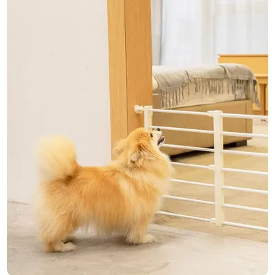 Immagine prodotto di Porta di sicurezza regolabile per animali domestici e bambini