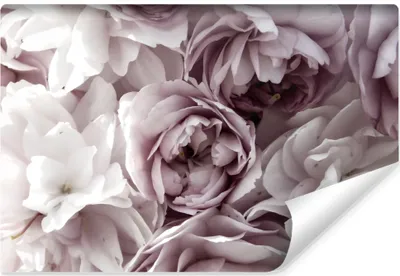 Zdjęcie produktu dla Fototapeta Abstrakcja do Salonu Kwiaty Piwonie Ekskluzywna Dekoracja ścienna 3D 270x180cm
