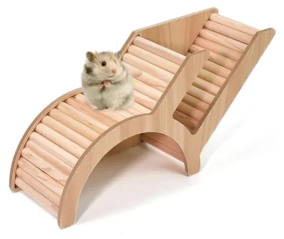 Productafbeelding van Houten Hamsterhuis - Multifunctioneel met Ladderdak