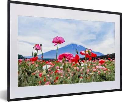 Produktbild von MuchoWow® Gerahmtes Poster Rosa Mohnblumen für einen Berg 60x40 cm - Poster mit Schwarzem Bilderrahmen Wandposter Rahmen Foto Bilder - Schlafzimmer - Plakat in Rahmen - Drucken
