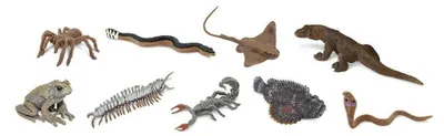 Zdjęcie produktu dla Safari Ltd Venomous Creatures TOOB, 3 lat(a), Venomous Creatures, Wielobarwny