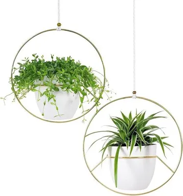 Immagine prodotto di Set per piante sospese - Vaso sospeso in 2 pezzi - Vaso per fiori a sospensione in metallo dorato - Vaso per fiori bianco all'interno