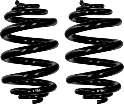 Image de Ressort de suspension Eibach ERL (remplacement de série) R10028 HA pour VW T4