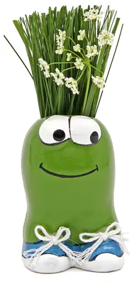 Produktbild von Anzuchtset Munakuppi Frosch | Anzuchtsets von Buzzy Gifts