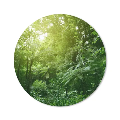 Produktbild von MuchoWow® Mauspad Mousepad Dschungel - Pflanzen - Blätter - Jungen - Mädchen - Kinder 20x20 cm - Mousepads - Maus Mat - Pad - Mausunterlage - Schreibtischmatte