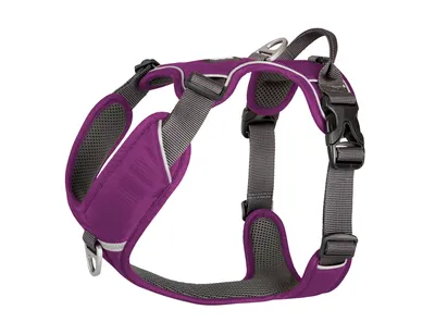 Produktbild von Dog Copenhagen Comfort Walk Purple Passion XS