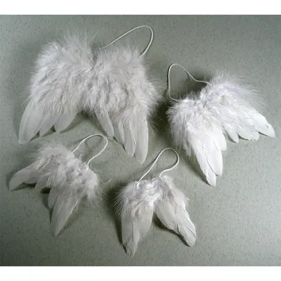 Image de Ailes d'ange moyennes 1 pièce
