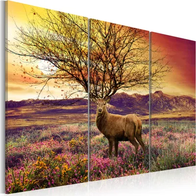 Produktbild von Modernes Wandbild 020112- 2 (120x80) - 3 Teilig Bilder Fotografie auf Vlies Leinwand Foto Bild Dekoration Wand Bilder Kunstdruck Landschaft