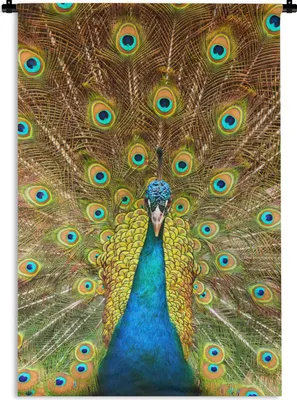 Produktbild von MuchoWow® Wandteppich Wandbehang Pfau - Vogel - Blau 60x90 cm Tapisserie Dekoration Wandtuch - Foto-Teppich - Abwaschbar