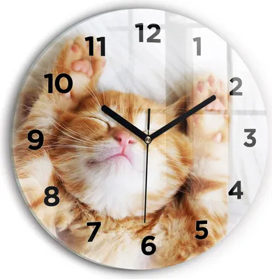 Produktbild von Wallfluent Wanduhr – Stilles Quarzuhrwerk - Uhr Dekoration Wohnzimmer Schlafzimmer Küche - Zifferblatt - schwarze Zeiger - 30 cm - Schlafende kleine Katze