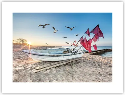 Produktbild von Poster - Poster ohne Rahmen - £ódŸ Küste Möwen - 40x30 cm - Wand Bild - Wanddeko - Wandbilder - Kunstposter - Wandposter - Bilder - Kunstdruck - Wanddekoration - Wandbild - P2XAA40x30-4779