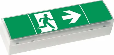 Produktbild von Ceag Notlichtsysteme LED-Einzelbatterie-Leuchte SV EURO4 LED 3h(SET) 40071354775