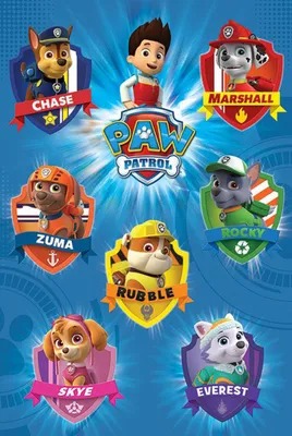 Produktbild von Empireposter 737304, 1 Stück(e), Cartoon, Paw Patrol, Crests, Rechteck, Junge/Mädchen