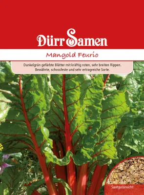 Produktbild von Mangold Feurio | Mangoldsamen von Dürr Samen