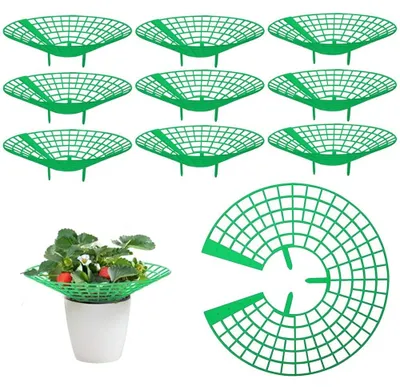 Immagine prodotto di Solidchoice - Supporto per piante rampicanti, set di 10 pezzi, ideale per balconi e giardini
