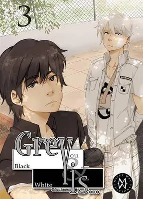 Produktbild von Grey is 3