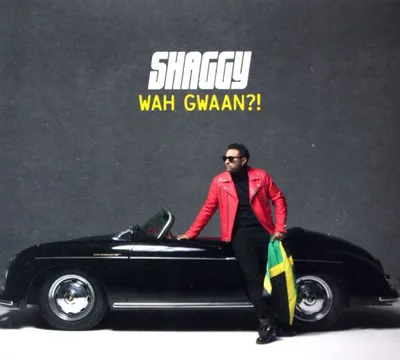 Obrázok produktu pre Shaggy: Čo sa to deje?! (PL)
