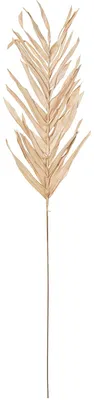 Obrázek produktu pro DRW, umělé listy "Zweig", přírodní barva, hnědé, 100 cm
