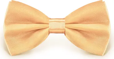 Produktbild von Fliege Gold Größe verstellbar aus Polyester einfarbig uni schmale 12 cm