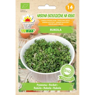 Produktbild von -Sprossensamen - Rucola 10g