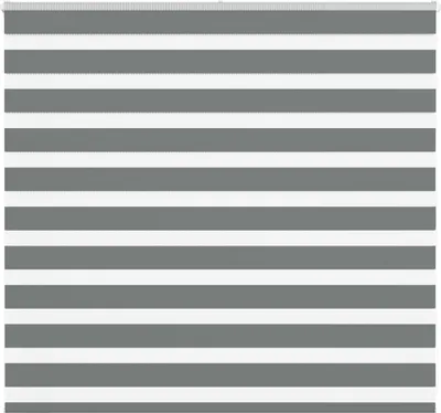 Produktbild von "2026 Promotion" Doppelrollo - Außenrollo - Dunkelgrau 155x100 cm Stoffbreite 150,9 cm Polyester - Rollos CC24296