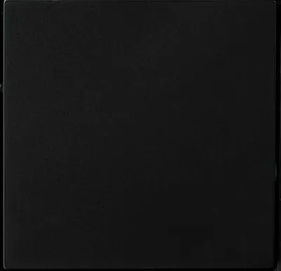 Produktbild von VIPLAST Einzelwippe Schalterwippe Schwarz Kunststoff ohne Aufdruck