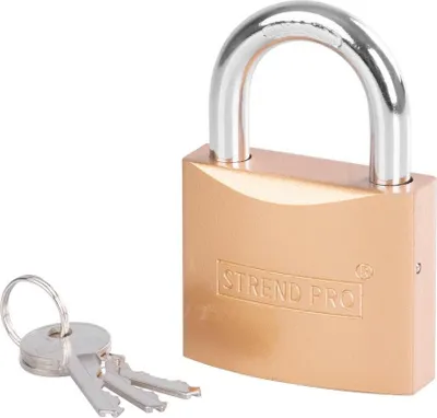 Image de Cadenas Strend Pro FT, 63 mm, doré