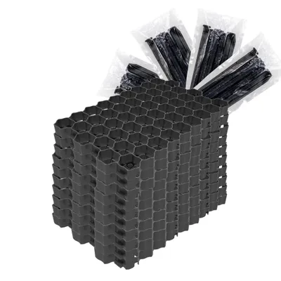Produktbild von FORTENA 10x Paddockplatte, 60x40x4 cm, Rasengitter für Parkplatz, inkl. 4 Bodenanker