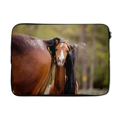Produktbild von MuchoWow® Laptop Hülle 13 Zoll Pferde - Natur - Braun Laptoptasche - Laptophülle - Sleeve - Rundumschutz