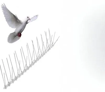 Productafbeelding van Vogelwerende constructie van roestvrij staal - effectieve bescherming tegen vogels, 6 meter (24 x 25 cm)