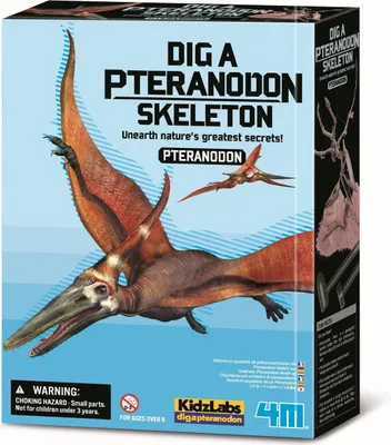 Immagine prodotto di Kit artigianale 4M "Scava uno scheletro di Pteranodonte"