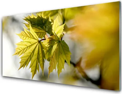 Produktbild von Acrylglasbilder 100x50 Wandbild Druck Blätter Pflanzen