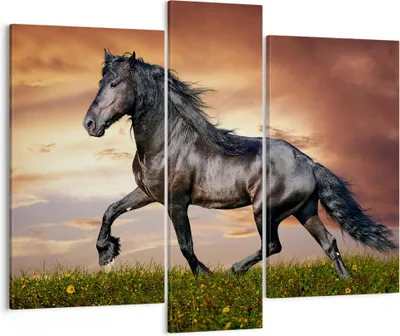 Produktbild von Bild auf Leinwand - Leinwandbild - Pferd Tier Wiese - 95x80cm - Wand Bild - Wanddeko - Wandbilder - Leinwanddruck - Bilder - Kunstdruck - Wanddekoration - Leinwand bilder - Wandkunst - CB95x80-2608