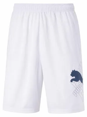 Produktbild von 140|PUMA CAT Bermuda Kinder Shorts 819495-05
