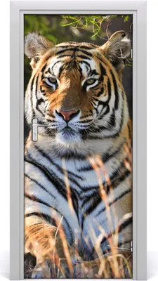 Produktbild von Tulup Türaufkleber 85x205 cm Dekorative Aufkleber Selbstklebend Wasserdichte Tapete Abnehmbar Schlafzimmer Wohnzimmer Wohnkultur - Tiger-Wand