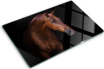 Obrázok produktu pre Sklenená ochranná doska – Kryt varnej dosky – Kryt na indukčnú dosku – 80x52 cm – Rýchle čistenie – Tvrdené sklo – Hnedý kôň