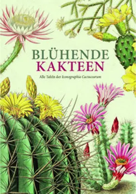 Obrázek produktu pro Blühende Kakteen