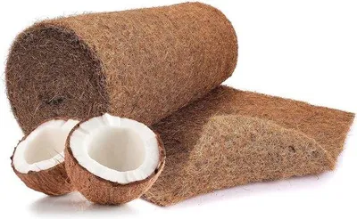 Zdjęcie produktu dla Maty kokosowe dla roślin – w 100% naturalna folia ochronna, folia chroniąca przed zimą i mrozem – 50 cm x 5 m