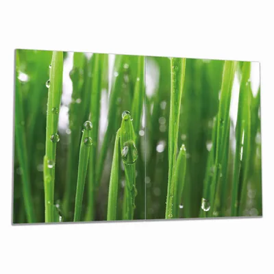 Produktbild von Wallario Herdabdeckplatte aus Glas, Größe 80 x 52 cm 2-teilig, Motiv Wassertropfen an Grashalmen