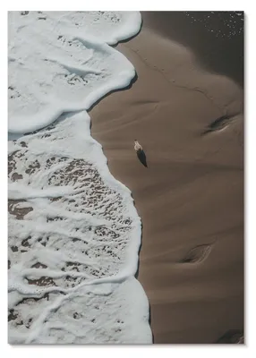 Produktbild von POSTER - 42x59 cm (A2) - TrueArt - Entspannender Strand, Sand, Möwenwellen - Wandbild für Wohnzimmer Schlafzimmer & Flur, Modernes Poster Wanddeko, Ungerahmt