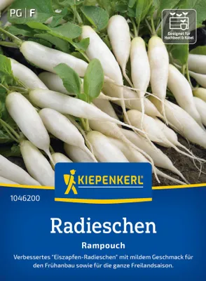 Artikelbild 2 von 'Radieschen Rampouch' aus der Kategorie Radieschensamen