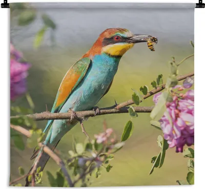 Produktbild von MuchoWow® Wandteppich Wandbehang Vogel - Bienenfresser - Blumen 90x90 cm Tapisserie Dekoration Wandtuch - Wandaufhänger