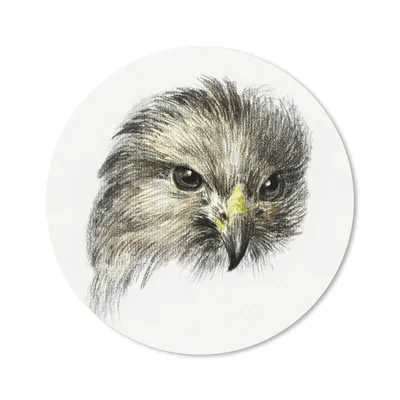 Produktbild von MuchoWow® Mauspad Mousepad Kopf eines Raubvogels - Gemälde von Jean Bernard 20x20 cm - Mousepads - Maus Mat - Pad - Mausunterlage - Schreibtischmatte