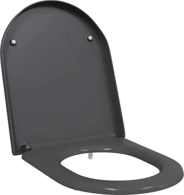 Obrázek produktu pro Toaletní prkno Antracit 49 x 36 x 4 cm Duroplast