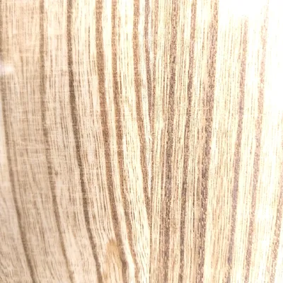 Obrázok produktu pre Živá pasca na myši od Gardigo v balení po 3 kusy