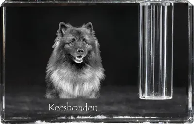 Productafbeelding van Poolse vertaling: Poolse vertaling: Wilczur kristallen pennenhouder met hond Art-Dog