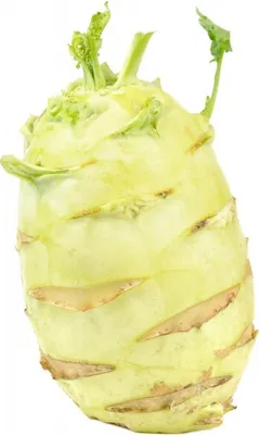 Produktbild von Kohlrabi "Gigant" - 50 Samen