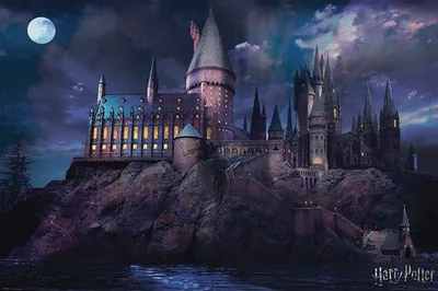 Produktbild von Maxiposter Harry Potter Hogwarts 91,5x61 cm