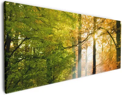 Produktbild von Wallario Premium Leinwandbild Sonnenuntergang im Herbstwald in Größe 60 x 150 cm