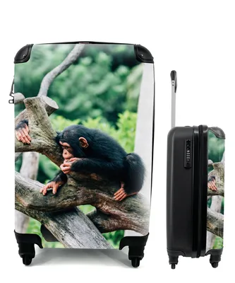 Produktbild von MuchoWow® Koffer Handgepäck Trolley Rollkoffer Kleine Reisekoffer mit 4 Rollen - Junger Schimpanse im Dschungel - Cabin Size < 55x40x23 cm & 55x40x20 cm - Fotokoffer - Kabinenkoffer - Boardgepäck - Reise-Box - Reisekoffer - Reisegepäck - Koffer mit Bild - Trolley für Kinder